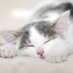 征途国际:推动国际贸易的新机遇与挑战 1mddi5f6d