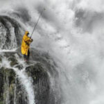 征途国际:全球视野下的商业创新与发展 6nba1d