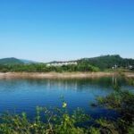 16. 为什么top1体育下载是体育迷的必备工具 e4bqwz6