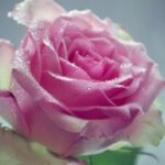 征途国际娱乐带你领略多元化的娱乐世界 mxts1e6