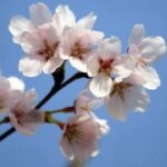 C7C7.app的更新与维护:保持游戏新鲜感 r601ng