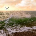 揭秘非凡娱乐H5游戏的热门玩法与技巧 u911hip