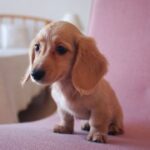 征途国际娱乐:适合各年龄段玩家的娱乐天堂 v6gkr9s